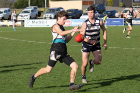 Mitch Stork was handed a debut game by the Magpies. Photos: Daryl Groves Photography.