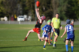 Jai Sheldon flies to take a mark in the under 11.5 grand final for Carisbrook.