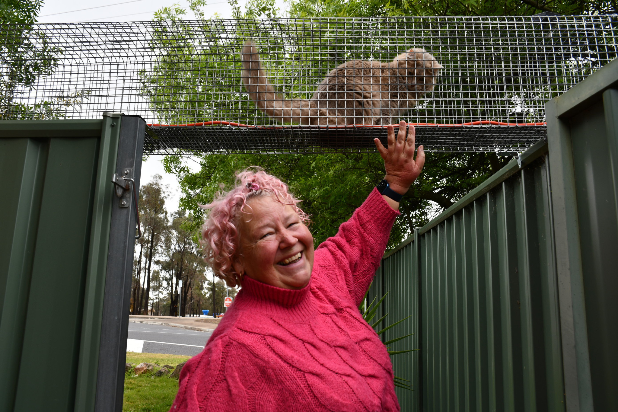 Kirsty McDowell from Robyn’s Nest & All the Rest Animal Rescue Inc is ‘feline’ fine after the organisation received thousands of dollars to buy three new portable cat enclosures. Ms McDowell’s permanent outdoor enclosure is also very popular with the cats.