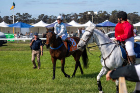 The Avoca Cup winner, Any Luck, returns to the mounting yard.