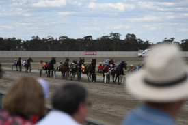 Racegoers were treated to a spectacular Victorian Trotters Derby final.