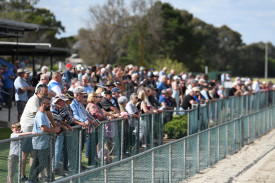 Large crowds lined the fences as they enjoyed Sunday’s racing action.