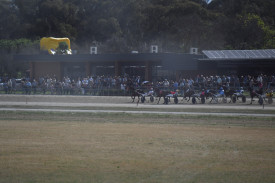 A constant throughout the day was the big crowds that lined the fence, as evidenced in the Matchmaker Mile which separated the Victorian Trotter Derby final and the Redwood Classic.