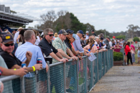 A large crowd gathered to watch on.