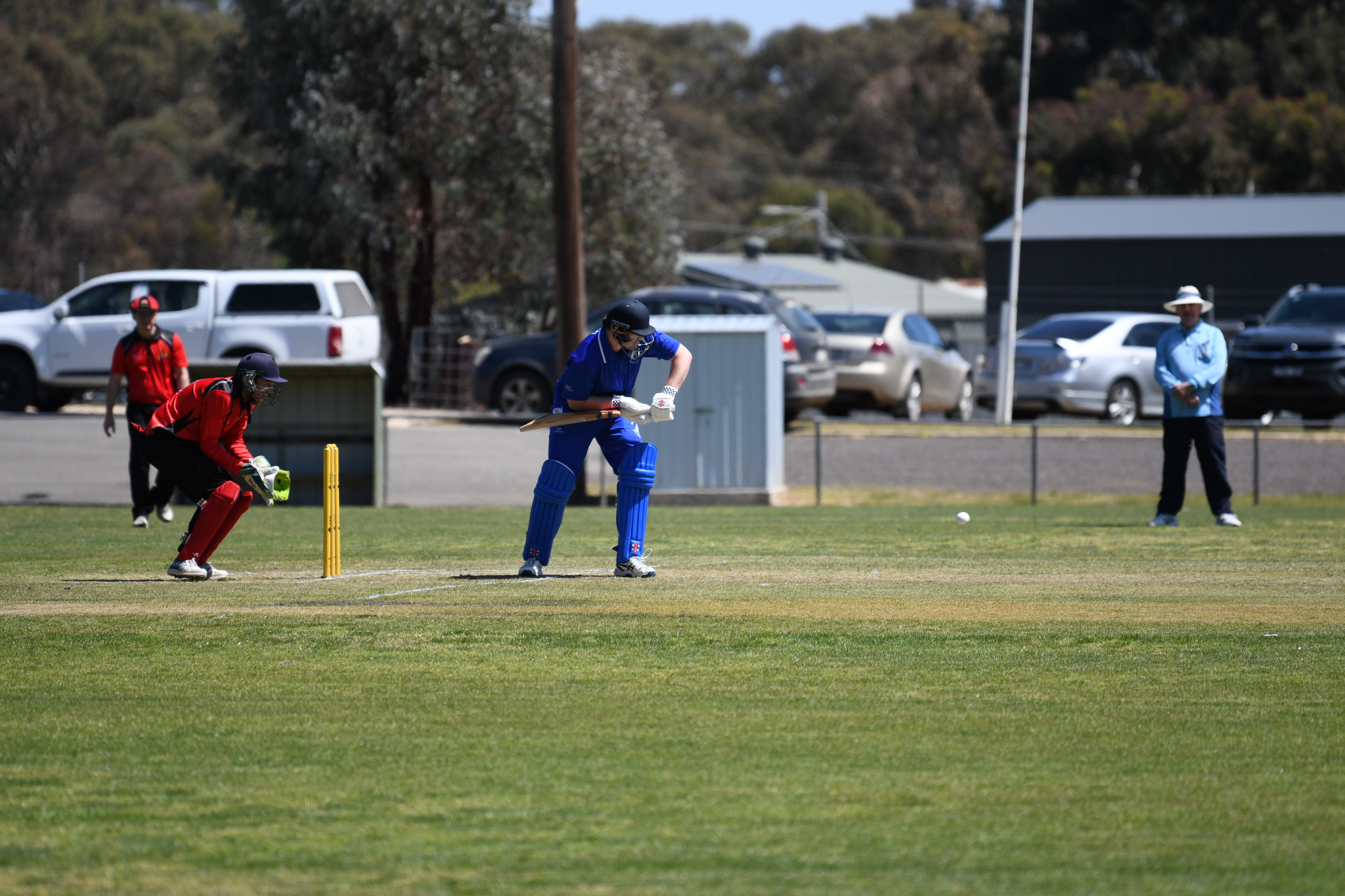 Rhys Egan, pictured against Carisbrook, continued his stunning start to the season for Colts Phelans with a terrific 60 against the tide early in their innings.