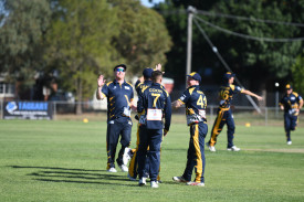 Smith was in the thick of the celebrations for a Laane wicket.