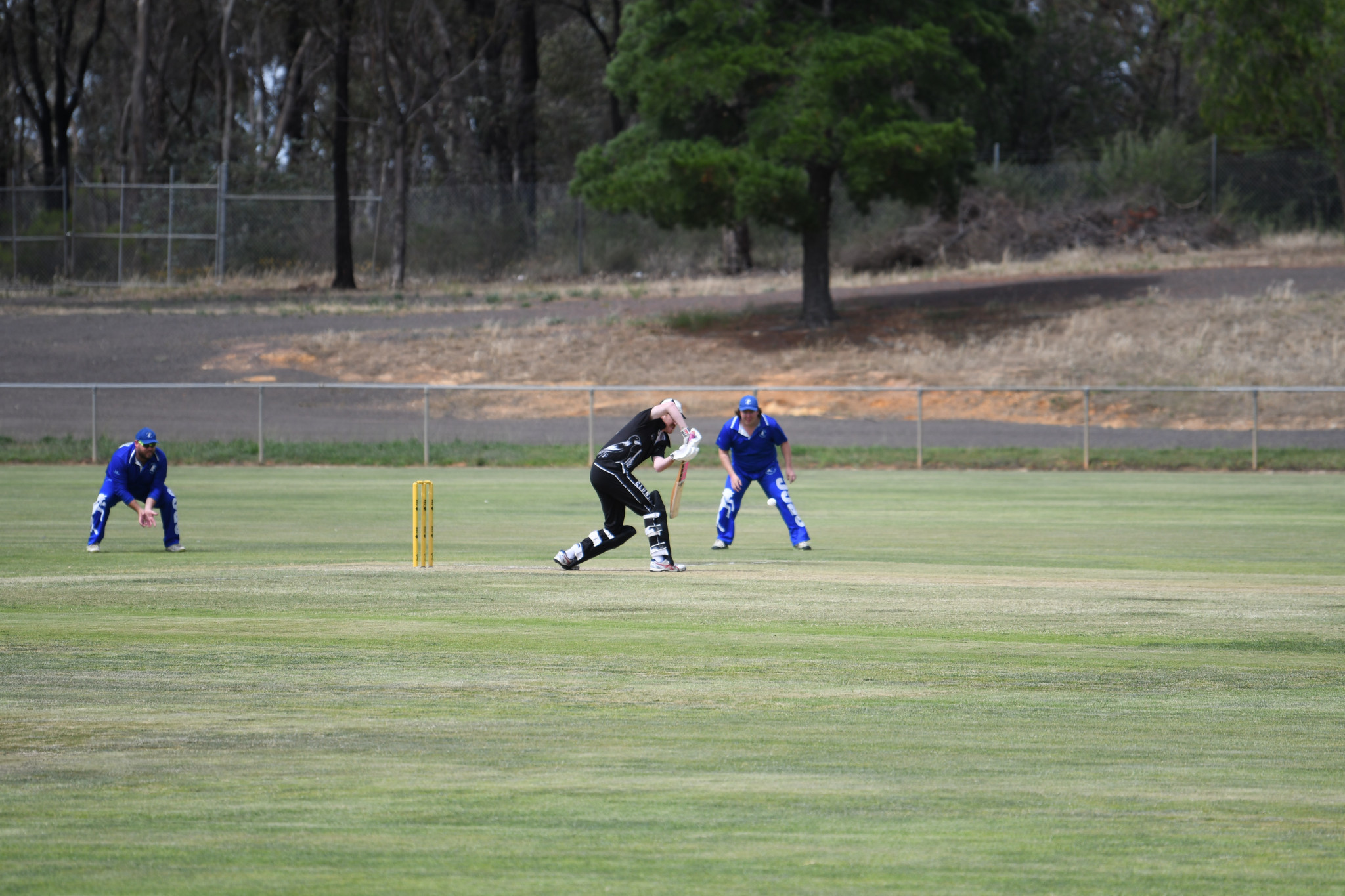 Clunes’ Mitch Coppick was in control during his match-winning innings of 76 on Saturday.