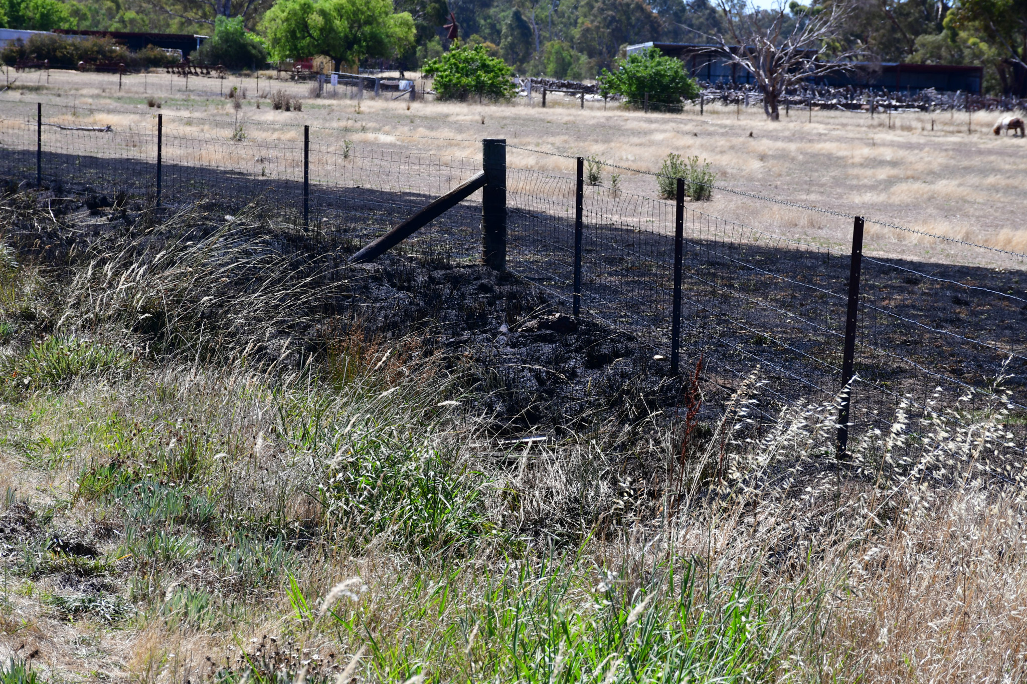 Police are investigating the circumstances surrounding a small grass fire that occurred on the Maryborough-St Arnaud Road, Alma last week, among several other fires in the district.