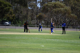 Josephine Sill claimed four wickets against Northern Territory.