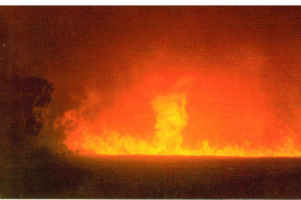 The intensity of the flames at Red Lion in the evening.