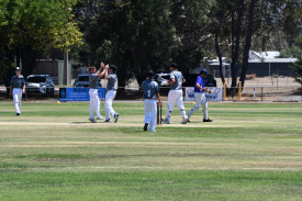 MDCA celebrates an important wicket.