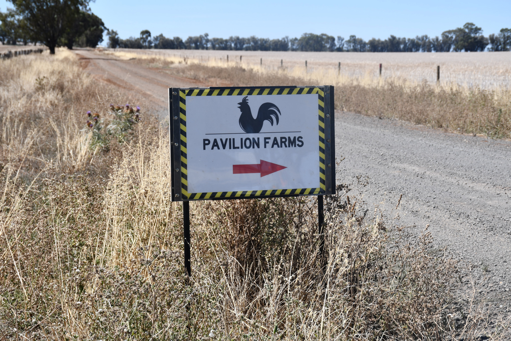 Applications for broiler farms in Carisbrook could impact the development of the Castlemaine-Maryborough Rail Trail.