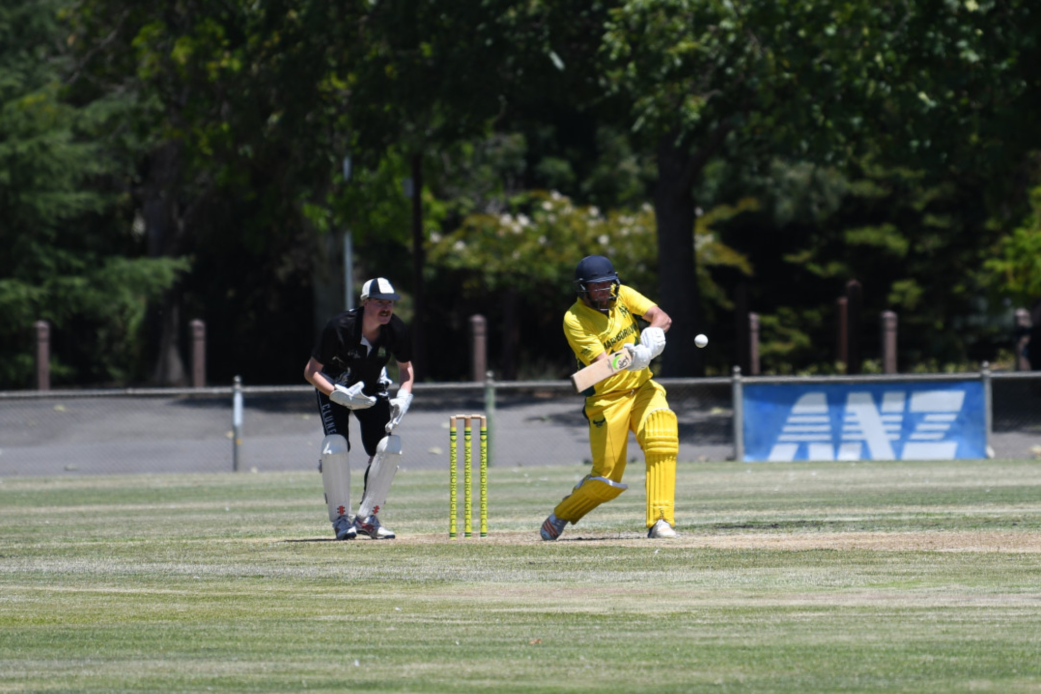Ben Robertson produced a great performance against Clunes, making 61.