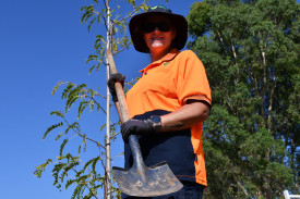Sam Newberry is set to get her hands dirty when tree planting season arrives in May.