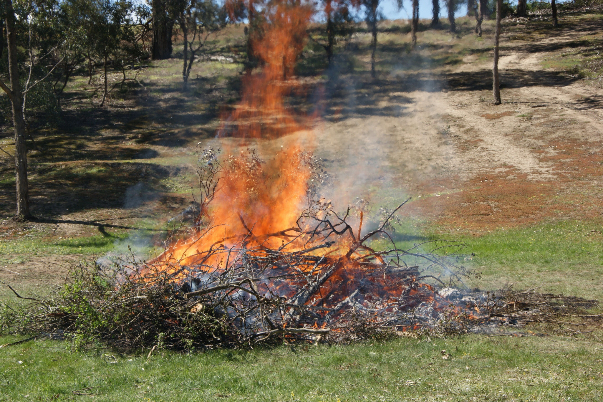 Worrying trend of illegally lit fires - feature photo
