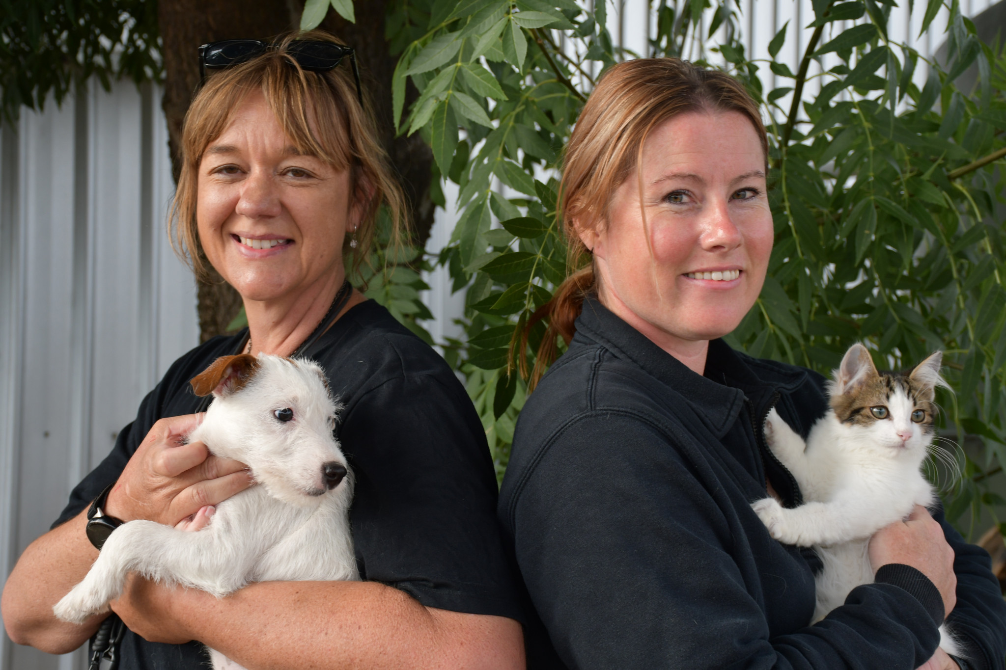 While cute dogs like the white Jack Russel have found a new home, Central Goldfields Rehoming’s Jo Gibbs and Khiara Jenkinson have seen an influx of surrendered animals since COVID.