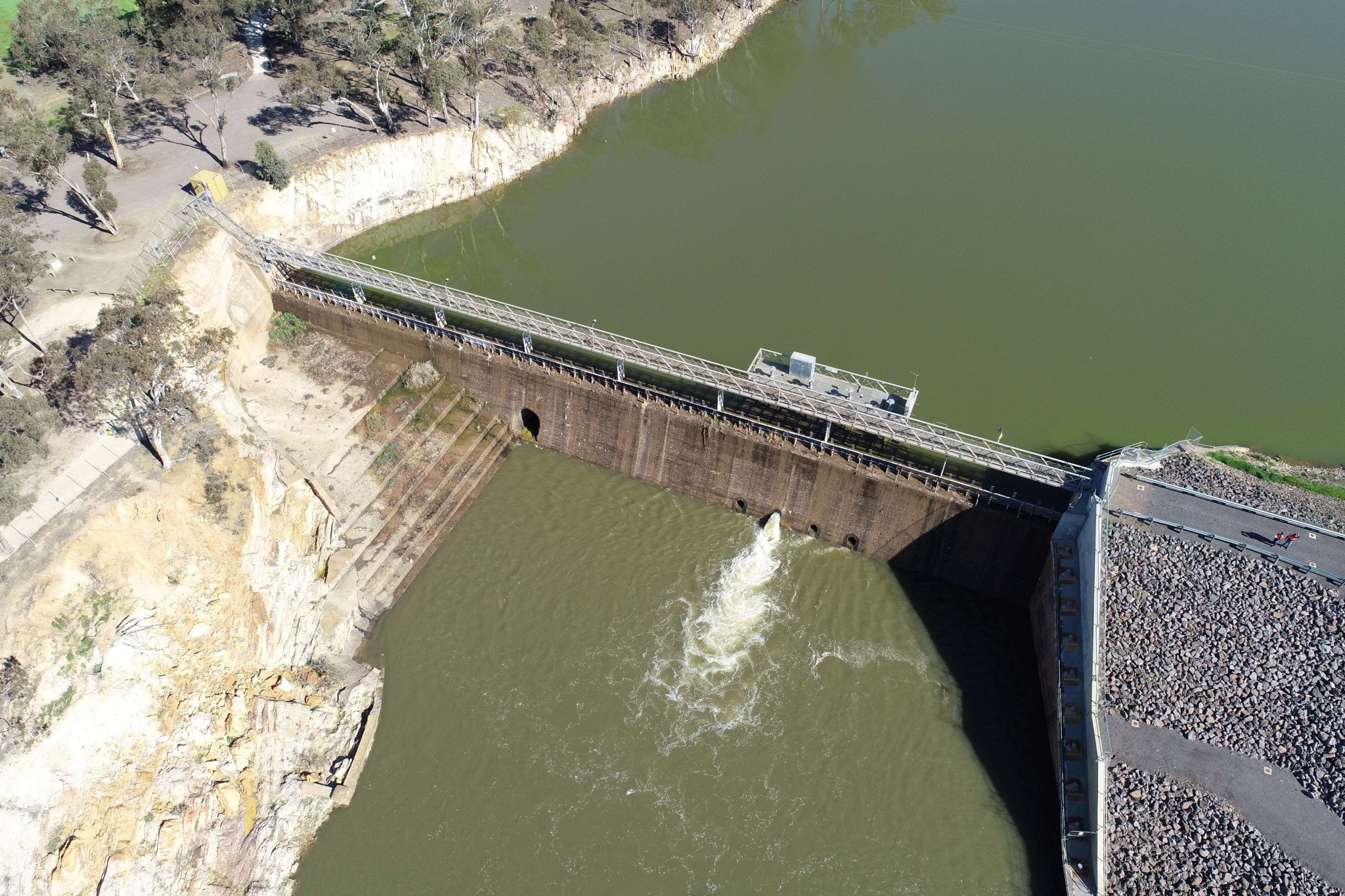 Algae alert for Laane - feature photo
