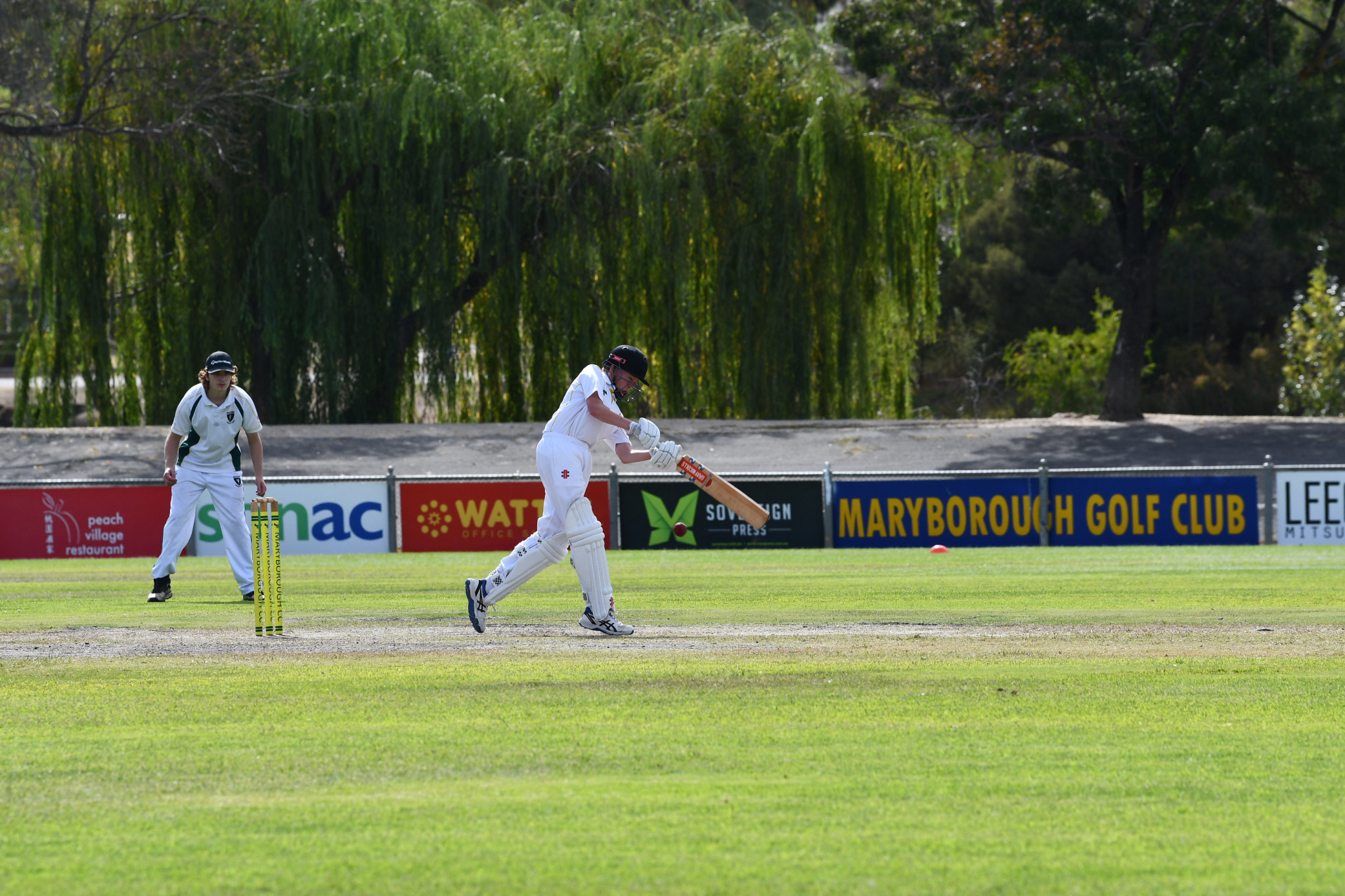 Kaleb Jardine looks to play a shot to the leg side for Maryborough.