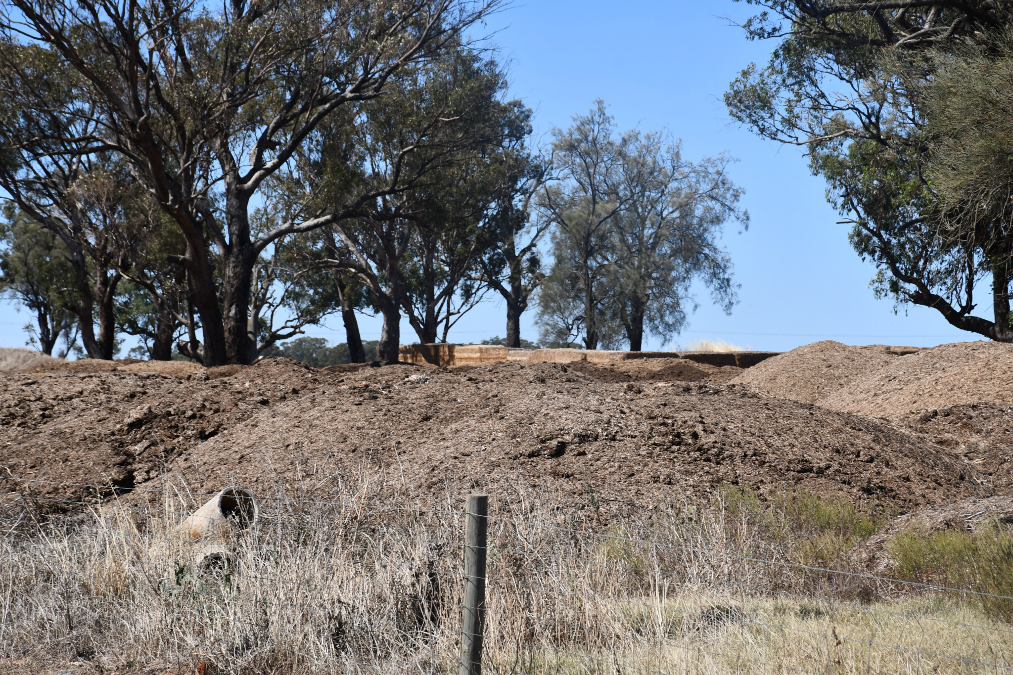 Pictured are the spent litter piles along Hurses Lane as of late January, they are within sight of the nearby broiler farm and a short walk from its entrance.