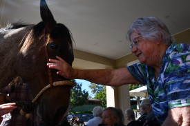 Havilah residents like Pat Howarth were keen to greet gentle-giant Stormy earlier this week.