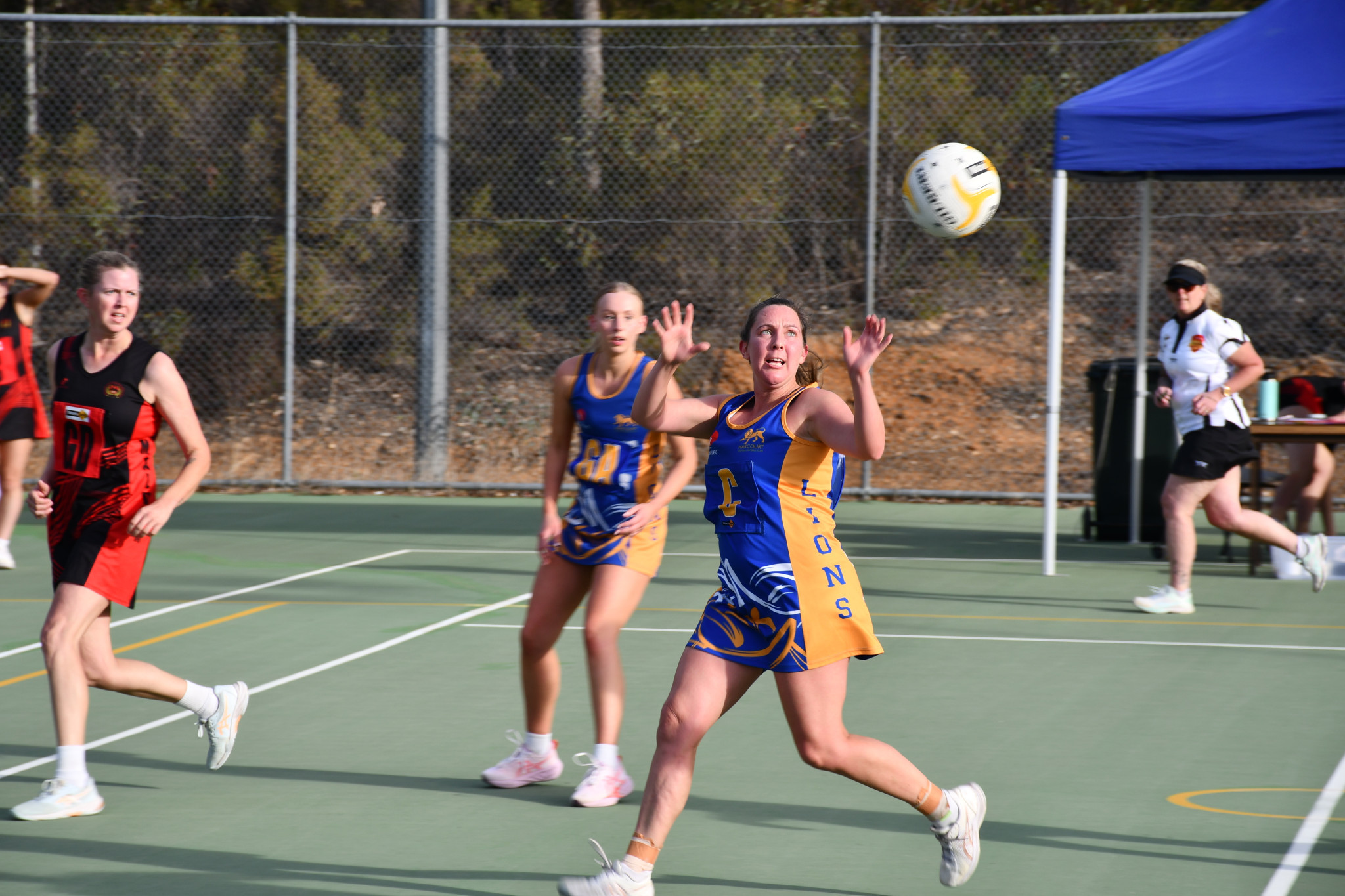 Stacey Mitchell aims to up the tempo in the midcourt.