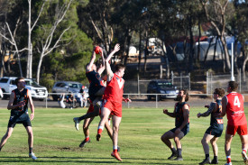 Kaylab Eggers flies high for the Maryborough Giants, one of the highlights from his performance on Saturday.