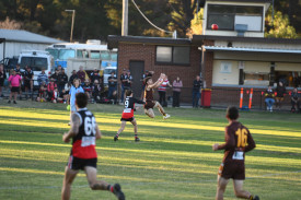 Zac Cicchini was flying high in the fourth quarter, providing the Hawks some consolation in their loss.