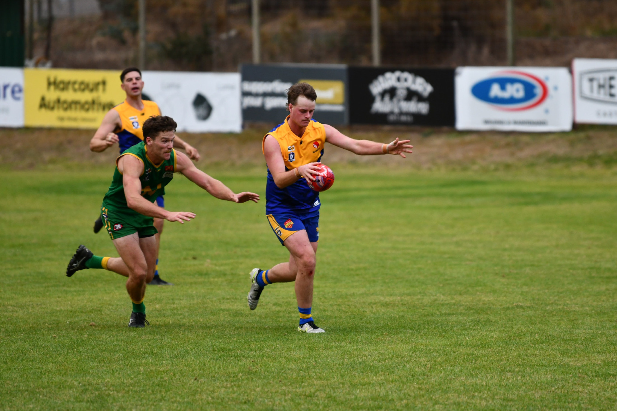 Harcourt’s Thomas Walters was captain fantastic on Saturday, kicking four goals.