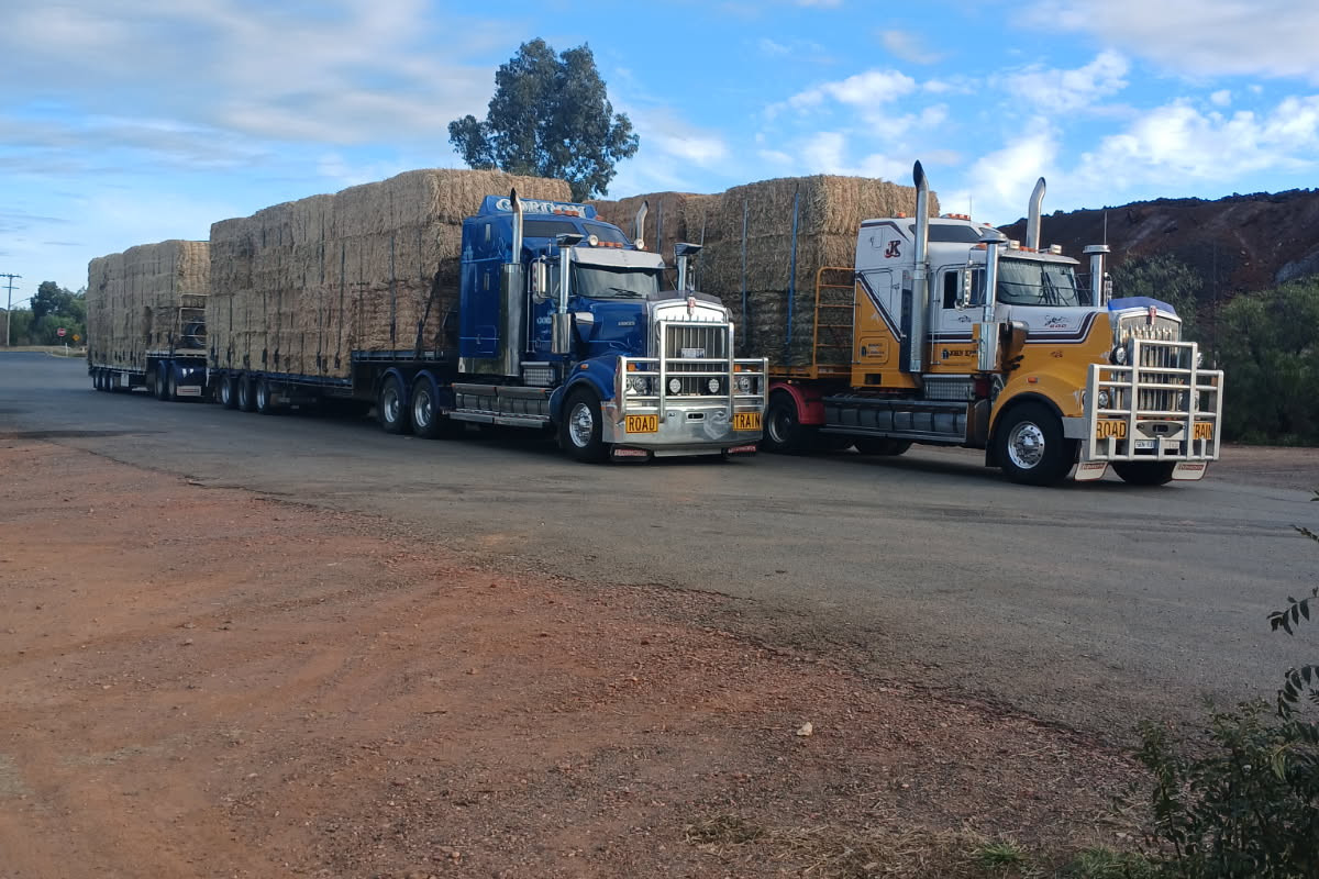 Two of the five trucks upon arrival in Queensland.
