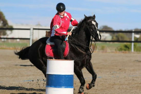 bealiba-pony-2.jpeg