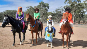 Local Pony clubs are set for State championships
