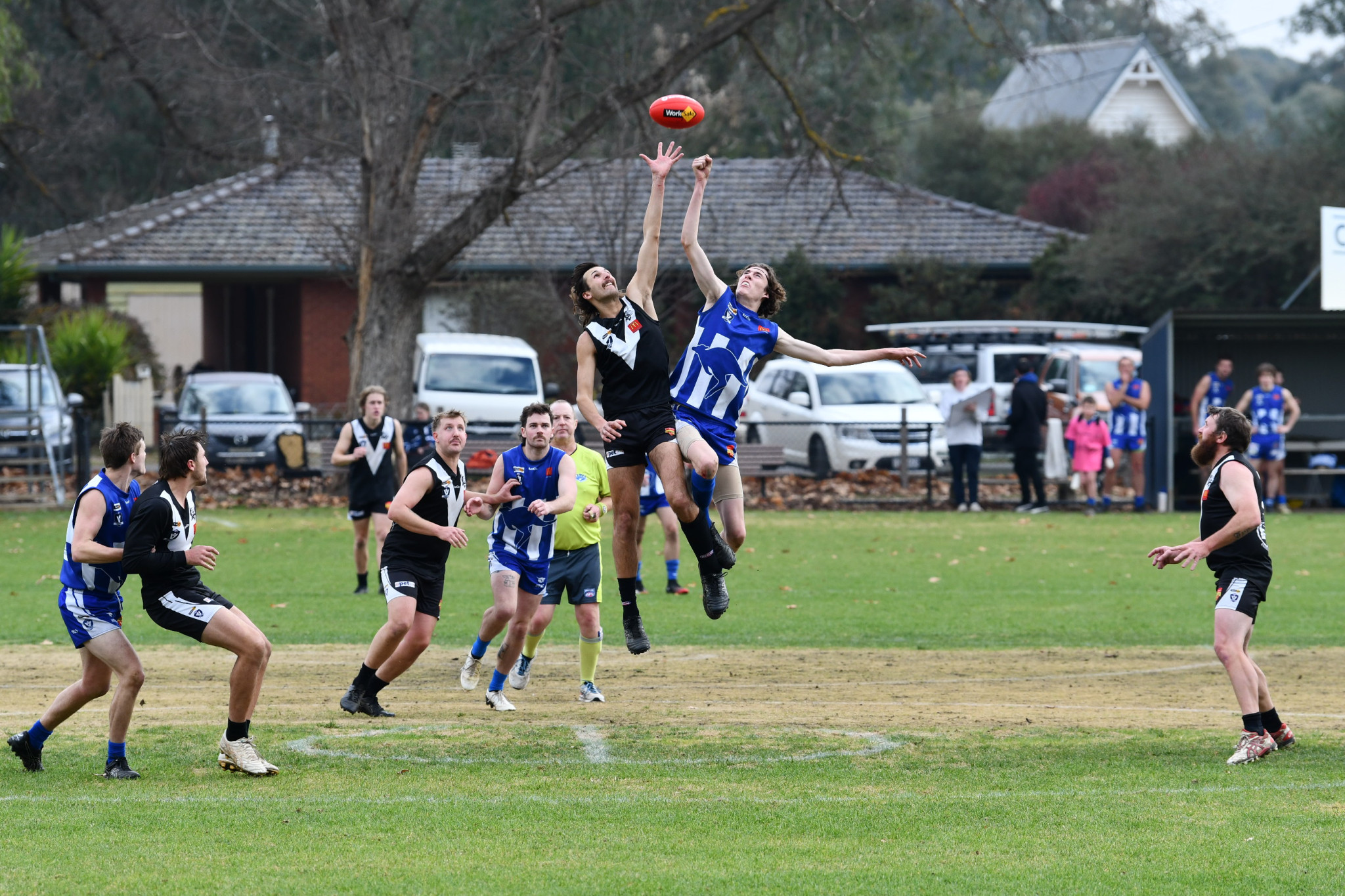 Campbells Creek’s James Martinovic and Newstead’s Jovian Goulton had an entertaining battle in the ruck on Saturday.