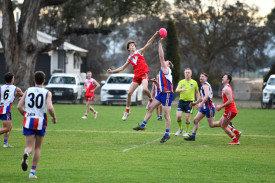 Natte’s Tate Williams did more than just hold his own in his senior debut against Avoca.