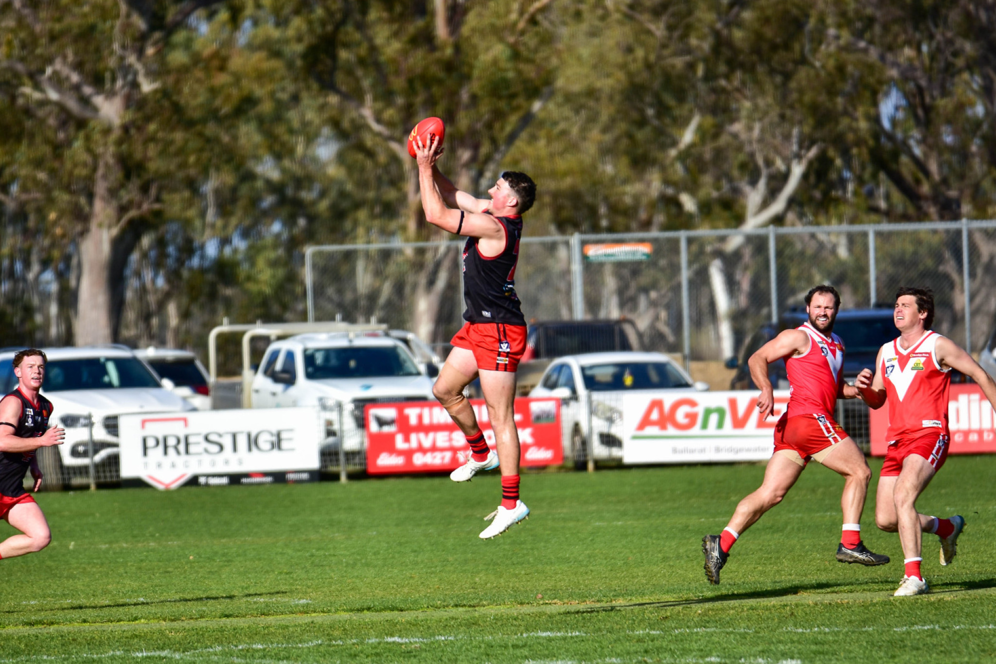 Tim Rinaldi takes a strong mark for Carisbrook.