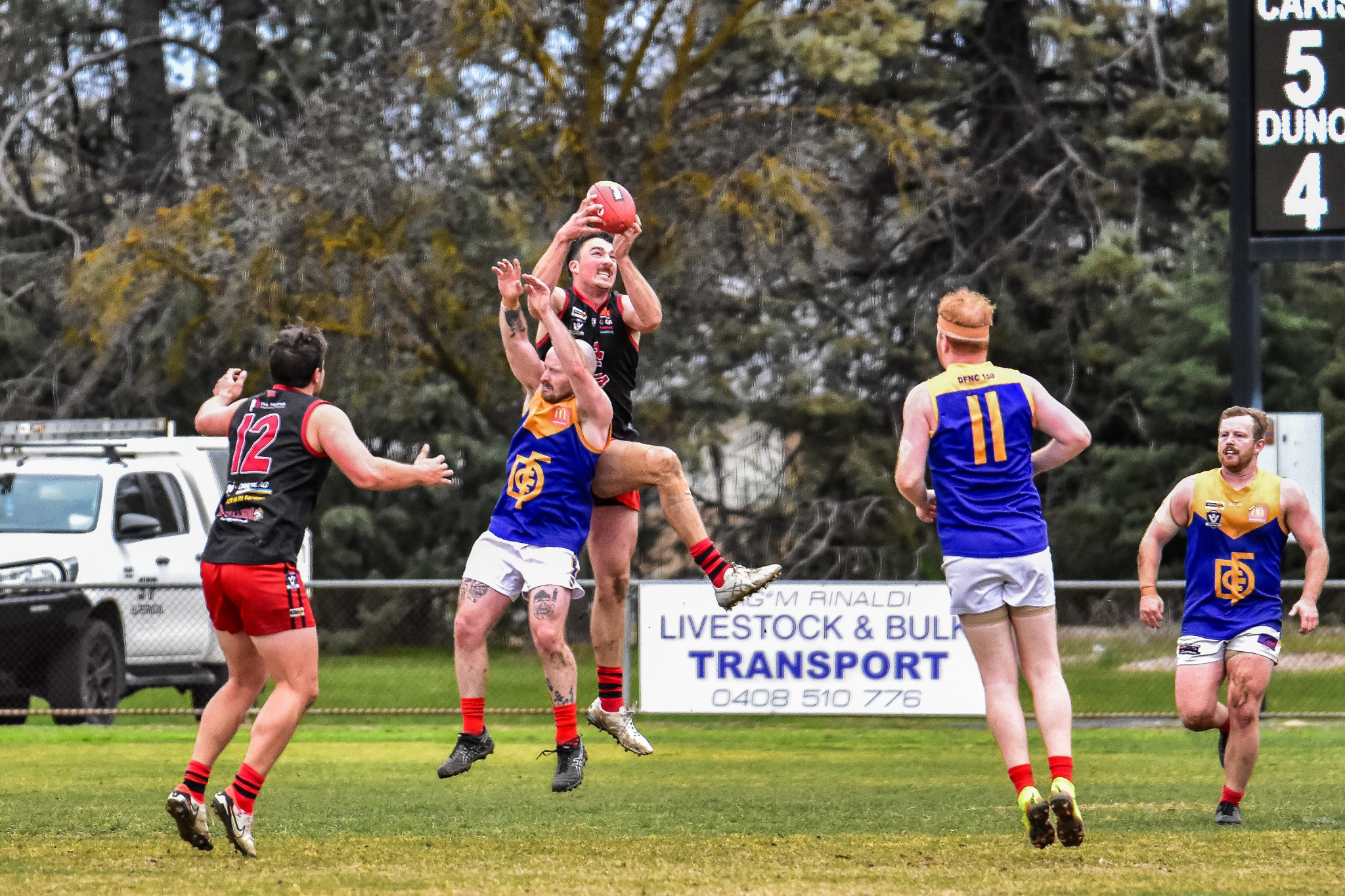 Tim Rinaldi was brilliant on Saturday, finishing with a game-changing seven goals.