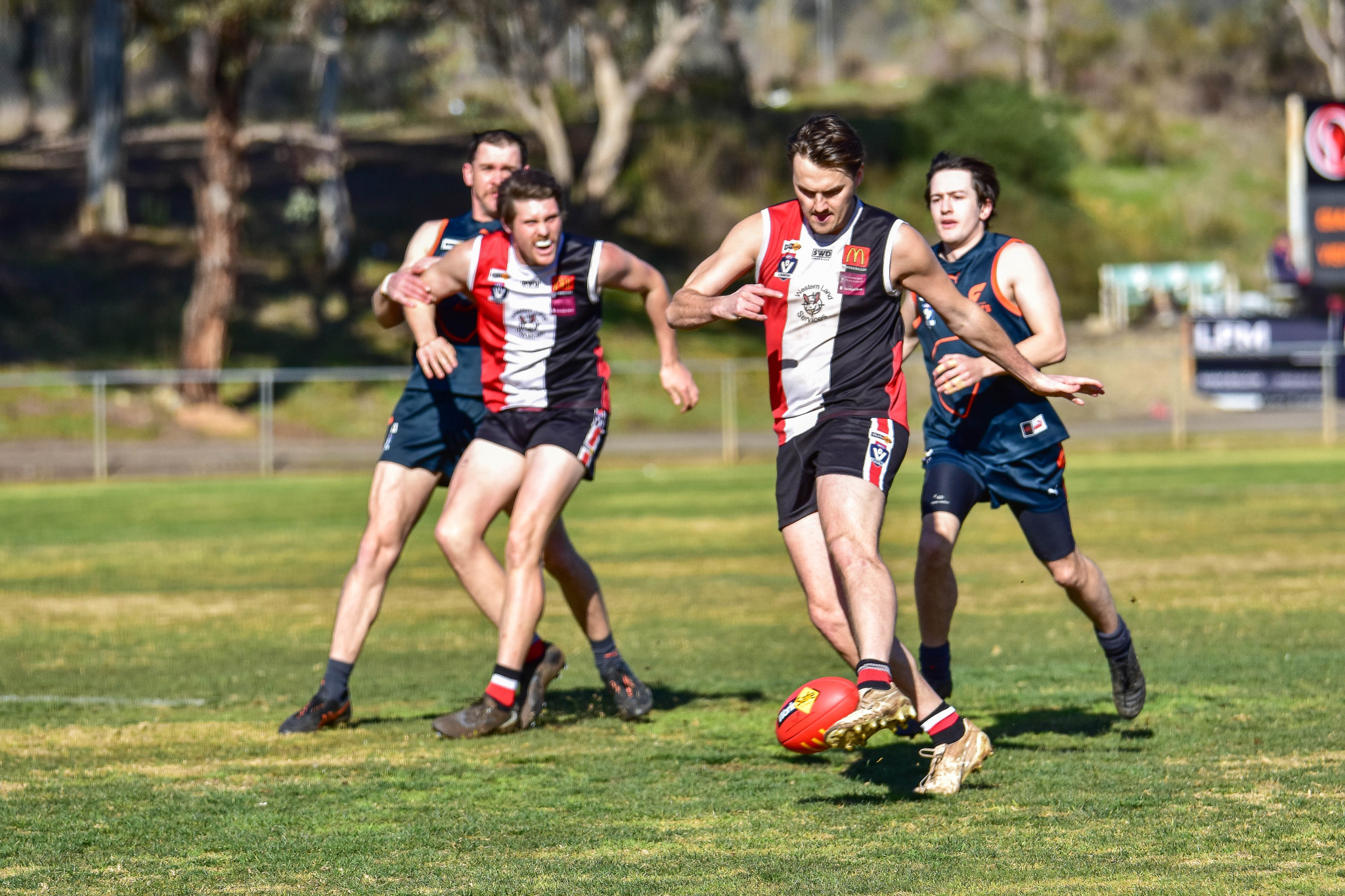 James Regan was a goal machine at Hedges Oval, finishing with 12 goals.