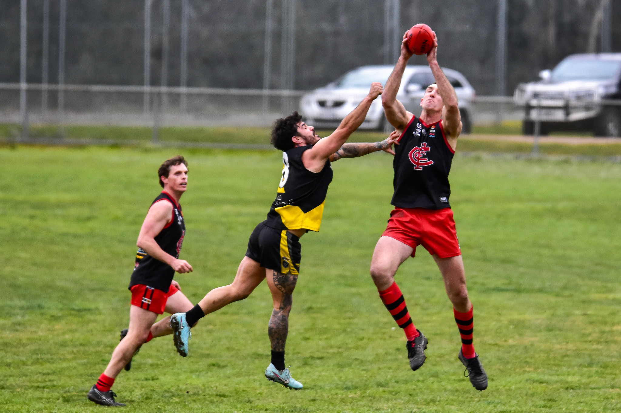 Carisbrook stalwart Jackson Bowen has had another spectacular season for the Redbacks.