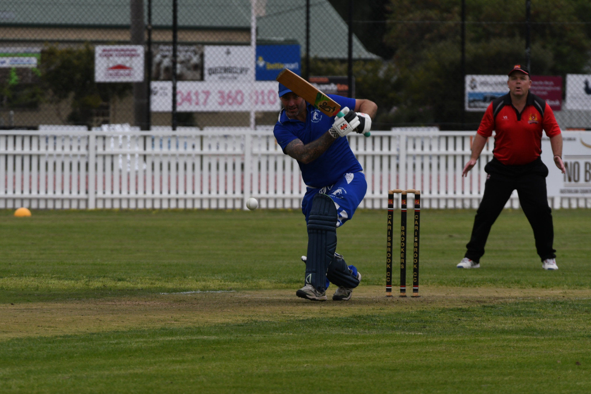Josh Collinson continued his strong start to the season with another impressive showing against Carisbrook.