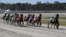 Prestigious Redwood Carnival delights