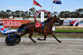 El Resamo, driven by Michael Stanley, wins the Greg Sugars Memorial Trot.