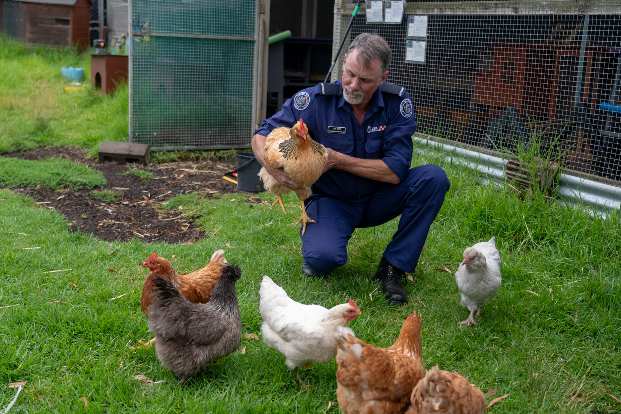Packing emergency food for your pets in the event of a bushfire is a necessity.