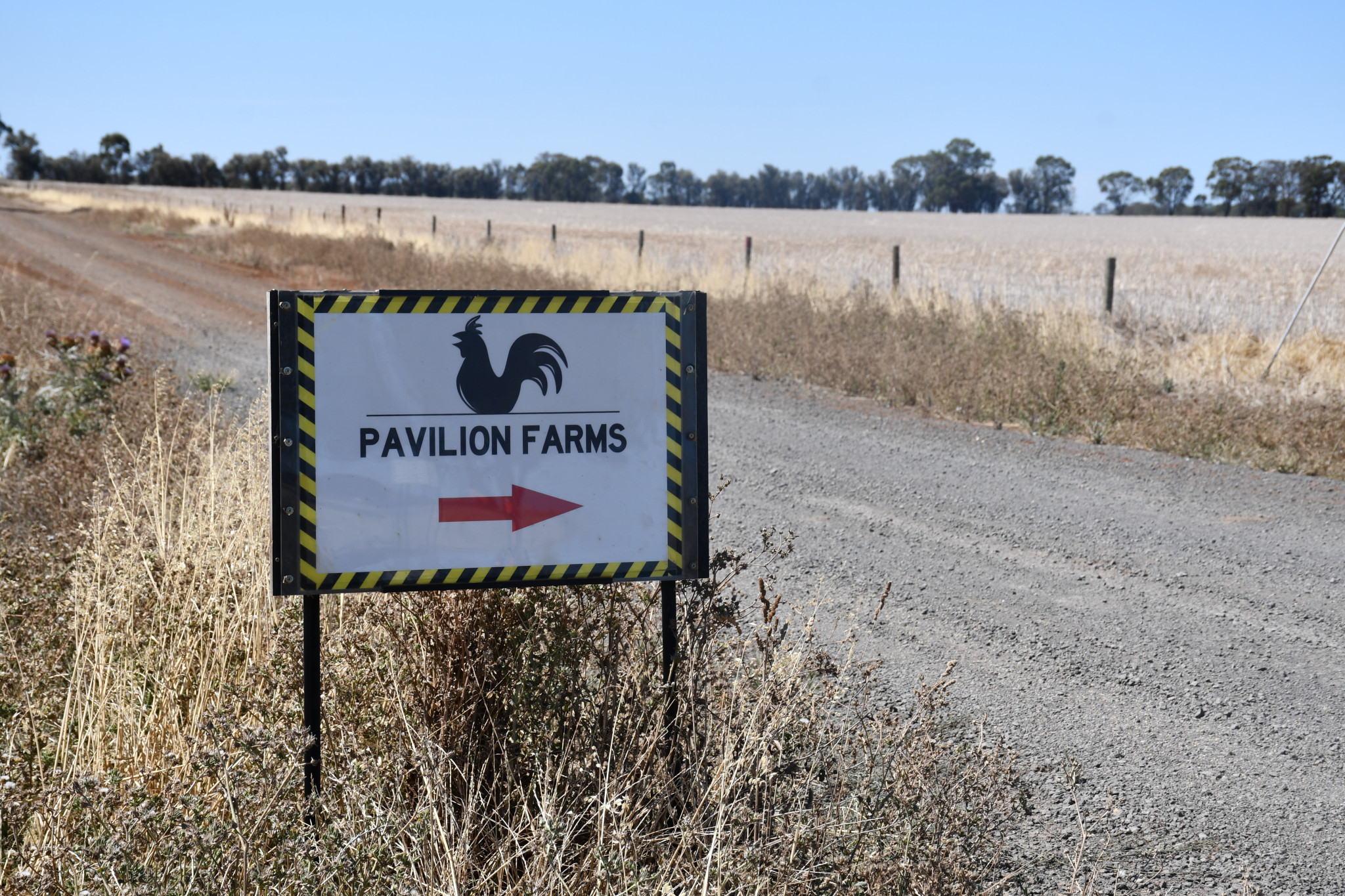 While council’s planning refusal is a win for the broiler farm’s objectors, the decision comes a month too late, after they lost their decision-making powers after an appeal to VCAT.