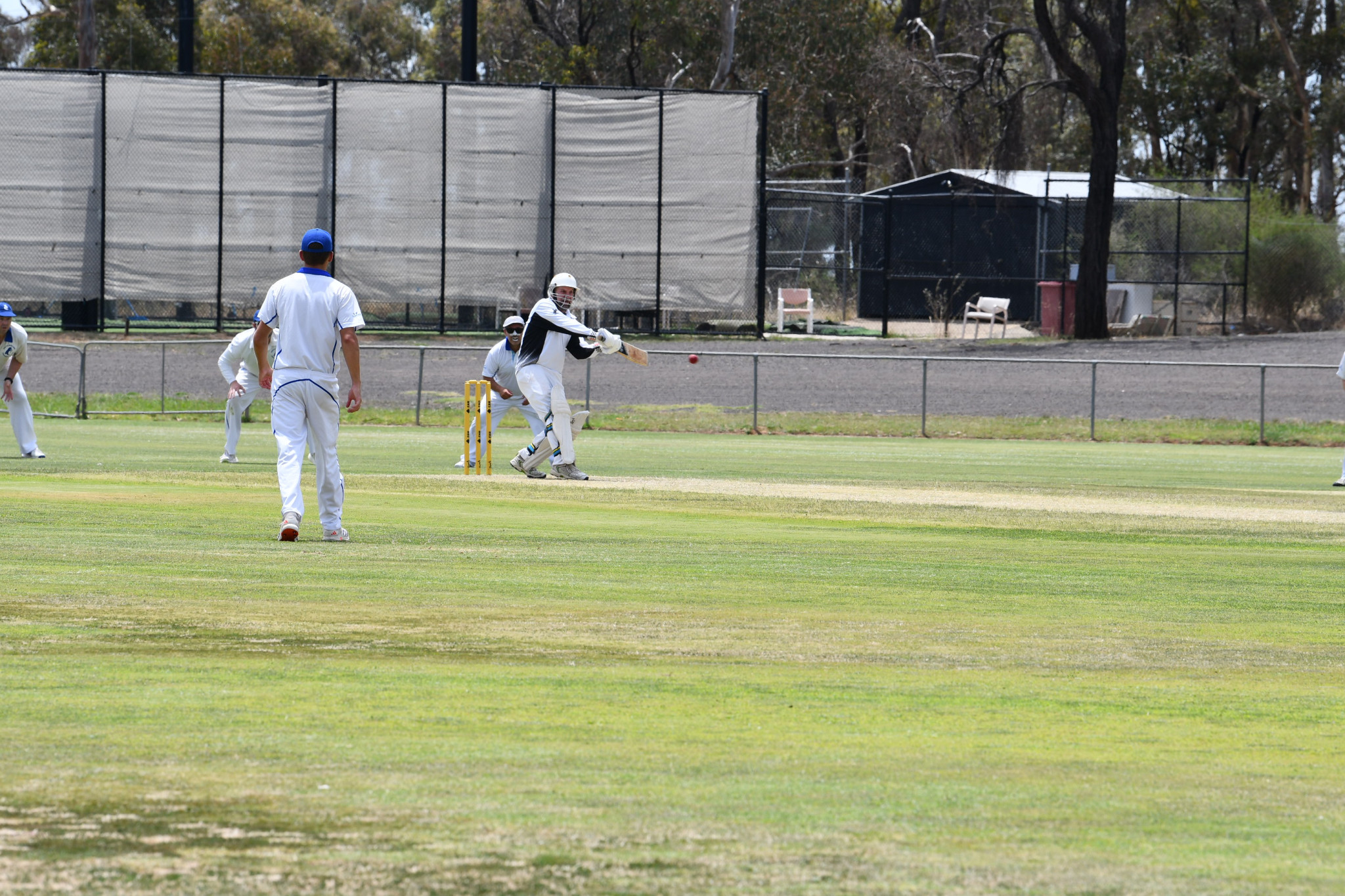 Mark Jenkin playing a pull shot against Colts Phelans.